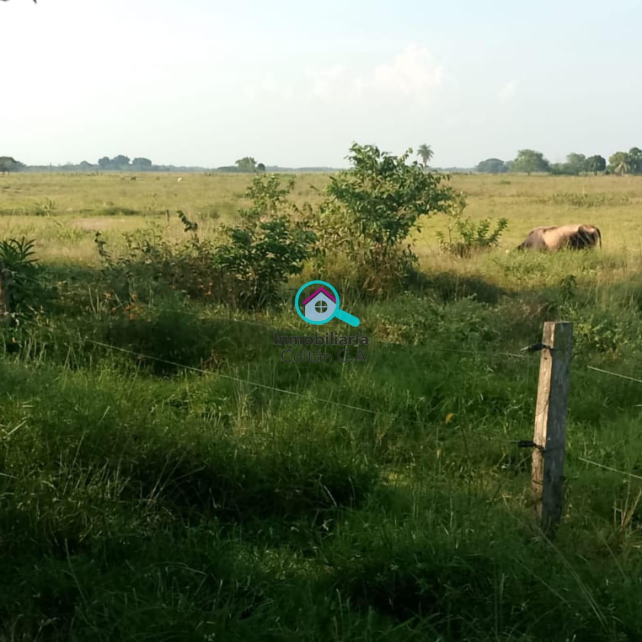 En Venta Bella y Amplia Finca Ubicada en San Silvestre de Barinas