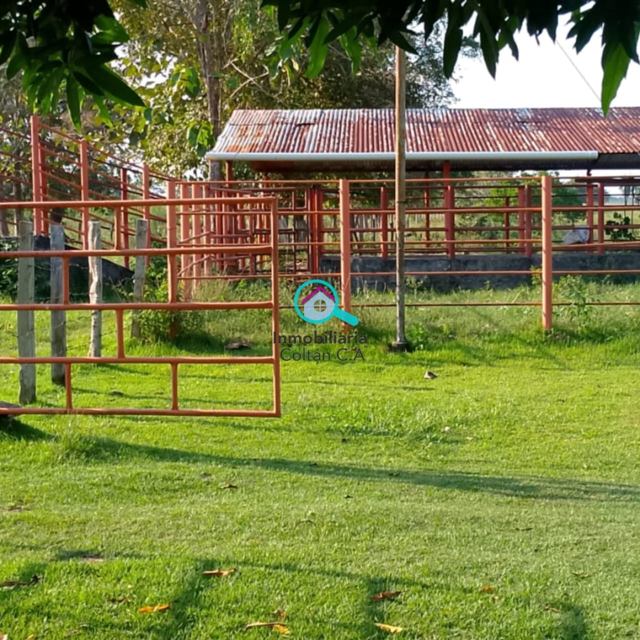 En Venta Bella y Amplia Finca Ubicada en San Silvestre de Barinas