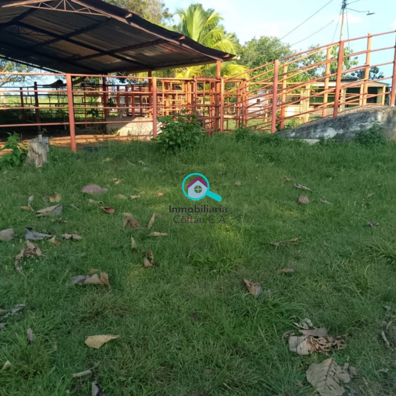 En Venta Bella y Amplia Finca Ubicada en San Silvestre de Barinas