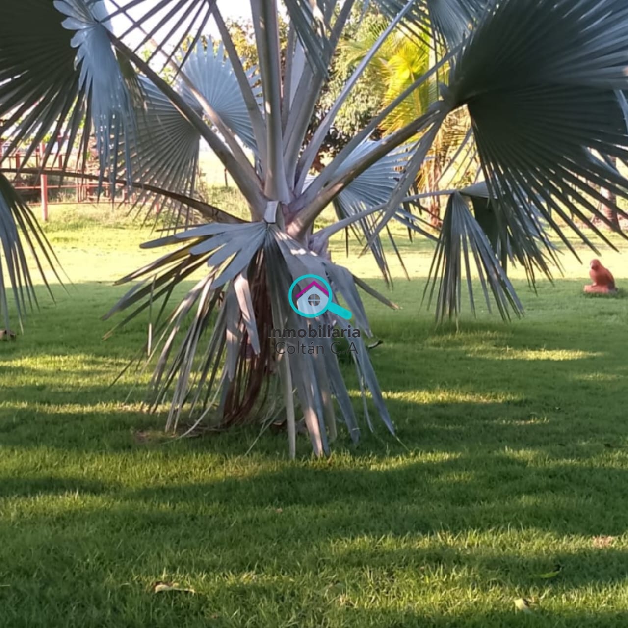 En Venta Bella y Amplia Finca Ubicada en San Silvestre de Barinas