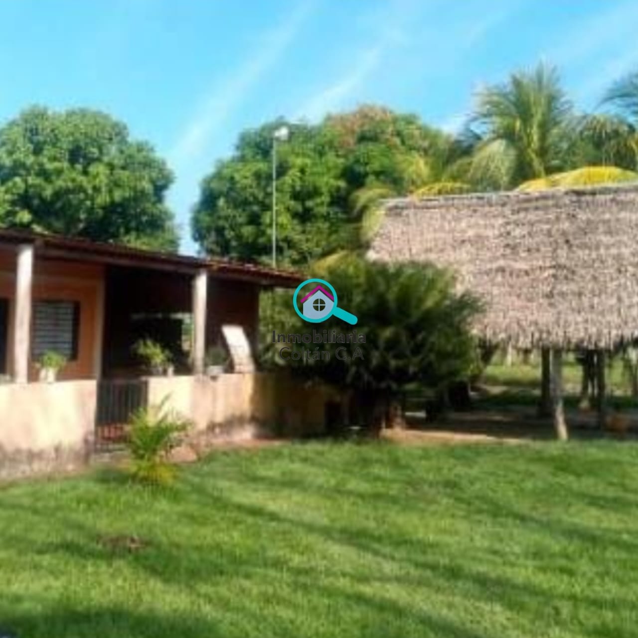 En Venta Finca ganadera de 64 hectáreas full pasto ubicada en La salesiana Barinas