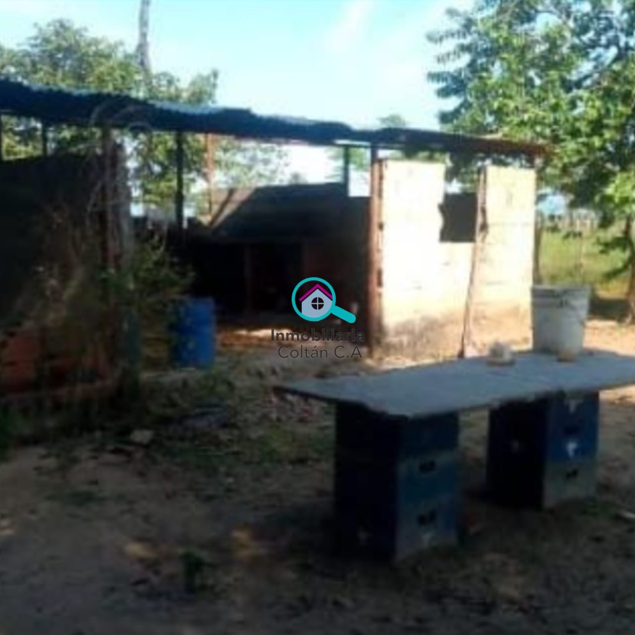 En Venta Finca ganadera de 64 hectáreas full pasto ubicada en La salesiana Barinas