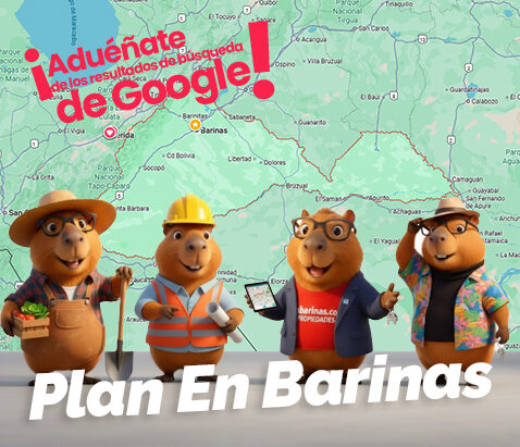 Plan En Barinas