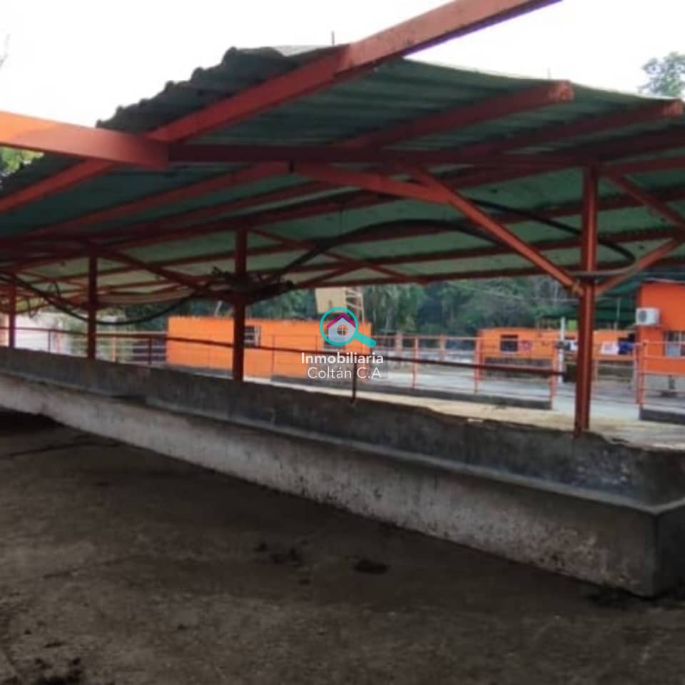 FINCA PRODUCTIVA" de (200 hectáreas) en Quebrada Seca - Barinas. - Imagen 10
